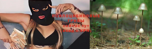 ГАЛЛЮЦИНОГЕННЫЕ ГРИБЫ Кукмор