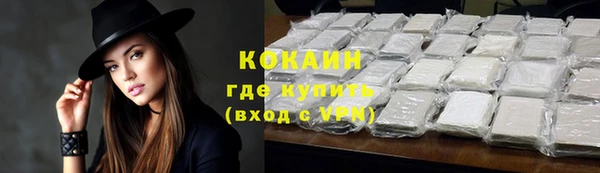 ГАЛЛЮЦИНОГЕННЫЕ ГРИБЫ Кукмор